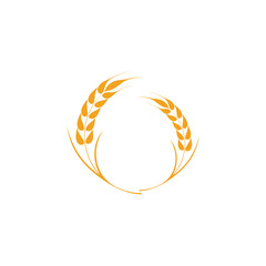 Agriculture Wheat logo template vector icon design