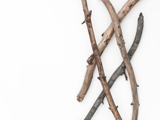 Obraz premium Dry tree branches on a white background. Flat lay, top view minimalistic natural composition