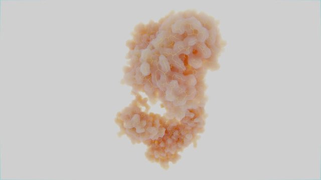 Structure of an antibody molecule determined by X-Ray cristallography. PDB source 1igt. Looping turntable animation