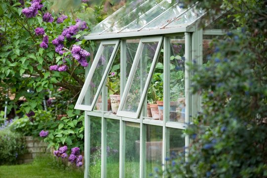 Greenhouse In Back Garden