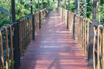 bridge footbridge walkway in garden park