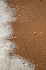 water foam on the estuary