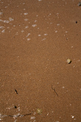  pristine smooth sand on the shore of a pond