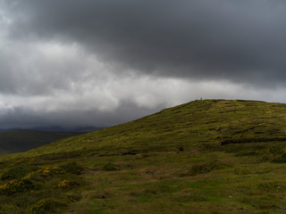 Scenic view of hill, Brandon Point, Castlegregory, Dingle Peninsula, County Kerry, Ireland