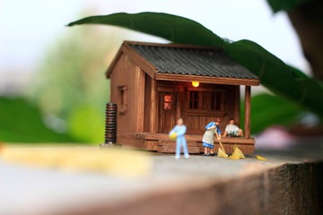 Morning Activity at Village, Housewive, Sweeping Housewive, Relaxing Father and son want ready go...