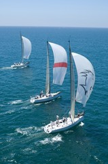 Fototapeta premium Yachts Compete In Team Sailing Event
