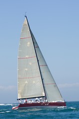 Naklejka premium Yacht With White Sail Competes In Team Sailing Event
