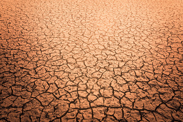 The impact of global warming on sun-cracked soil and the loss of all fauna and flora.