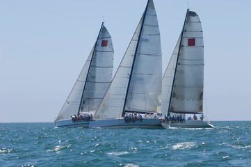 Obraz premium Yachts Compete In Team Sailing Event