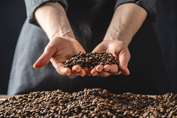 Hands holding fragrant coffee beans. A pile of roasted Arabica grains. Selection of fresh coffee for espresso
