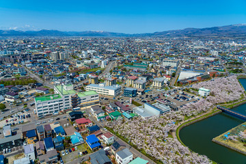 Obraz premium Goryokaku park in springtime cherry blossom season ( April, May ), aerial view star shaped fort in sunny day. visitors enjoy the beautiful full bloom sakura flowers in Hakodate city, Hokkaido, Japan