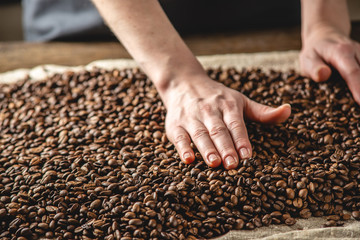 Hand stroking the warm fragrant coffee beans. A pile of roasted Arabica grains. Selection of fresh coffee for espresso