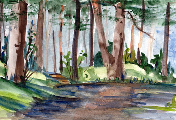 watercolor pine forest permeated by sunlight