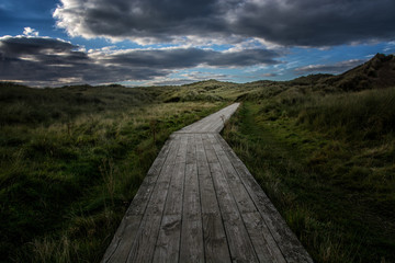 Boardwalk,