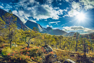Fototapeta premium Scenic view into the Efjorddalen valley wilderness in Norway in warm autumn light with Kuglhornet summit in background