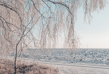 beautiful snowy winter landscape with forest and road. wintry forest trees in snow. frosty clear sunny day with blue sky and sun.