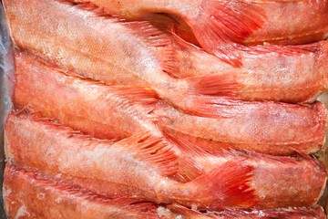 Full frame shot of freshly caught red fishes