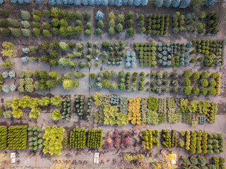 Plant pattern above garden center.