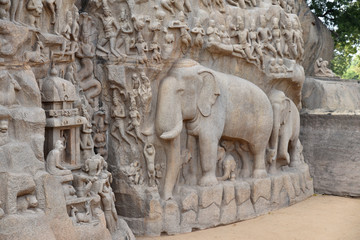 Bas-relief aux éléphants à Mallabapuram, Inde du Sud