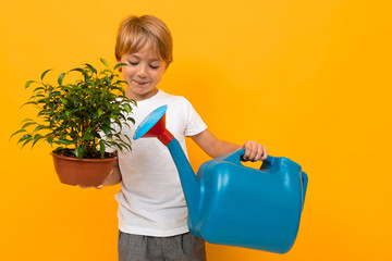 young boy holding a pot with a plant and a watering can on an orange background