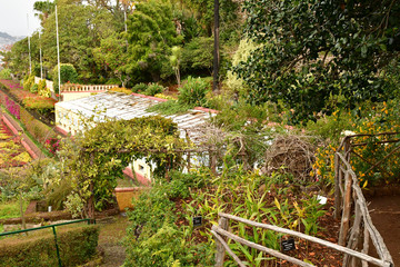 Funchal, Portugal - february 22 2018 : botanical garden