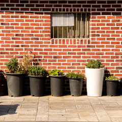Fototapeta na wymiar Old small window on the brick wall. Flower pots standing under the window. Seoul, South Korea