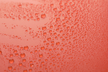 Many water drops on red background. Texture background.