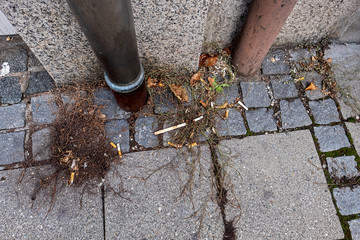cigarette butts carelessly thrown away on the side of the road
