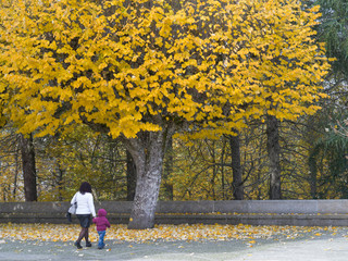 Woman walking with her child under autumn tree, Shrine of Our Lady of Remedies, Lamego...