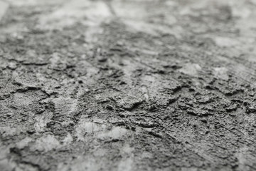 Grey cement background, close up. Texture for design