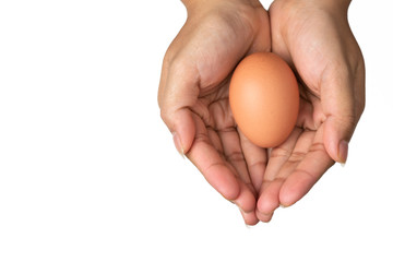 egg in hand isolated on white background