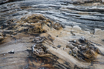 abstract texture of frozen lumber