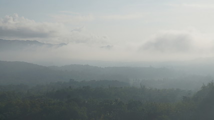 fog in the mountains