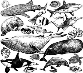 Big set of hand drawn sketch style sea animals and creatures isolated on white background. Vector illustration.