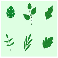 Set of different  leaves, hand drawn