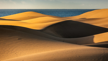 Maspalomas dunes in sunrise light. Gran Canaria sandy coast.