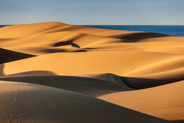 Fototapeta na wymiar Maspalomas dunes in sunrise light. Gran Canaria sandy coast.