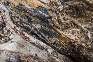 abstract texture of frozen lumber