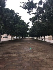 people walking in the park