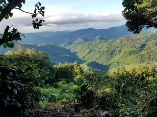 Obraz premium view of mountains