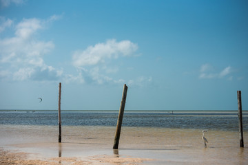 A Beautiful Sunny Day in "Isla Blanca" Mexico, Natural Panoramic View