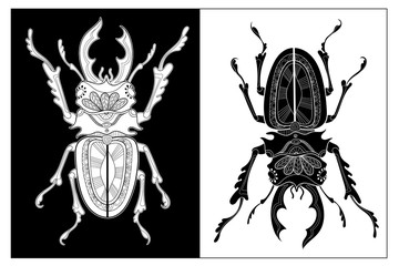 Pattern for coloring book. Coloring pages for adults and children. Natural elements, patterns. Antistress, art therapy. Black and white image of a beetle.