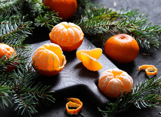 Christmas holiday still life with tangerines and spruce branches