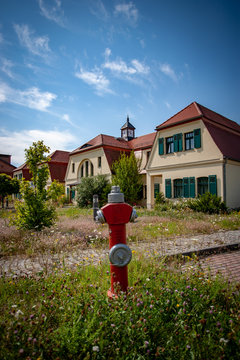 Roter Hydrant vor Häusern mit wilden Gärten
