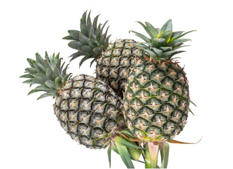 Three pineapple on a white background. (with clipping path)
