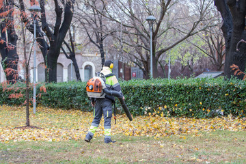 Gardener blowing leaves in a city park.
