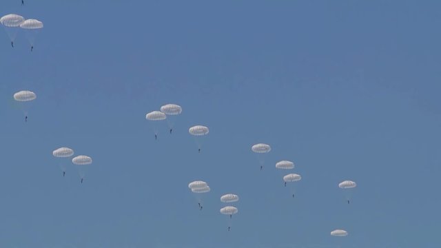 The military soldiers jumping from the plane with parachutes, military parachutist on blue sky background