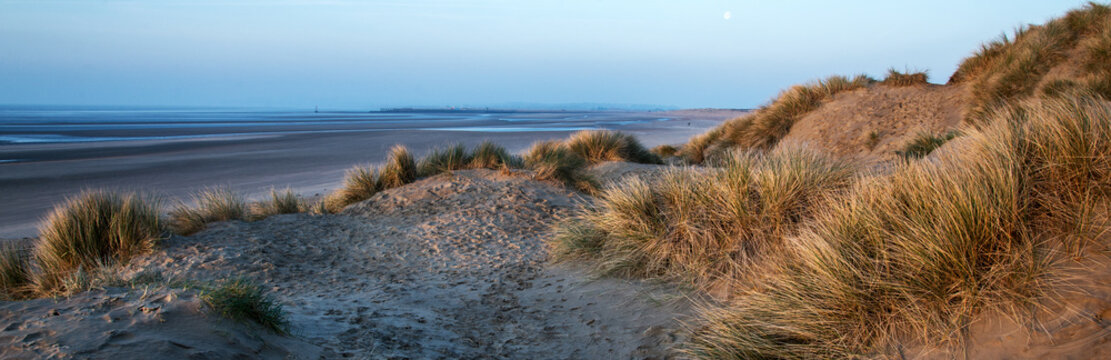 Maram and sand dunes at sunrise, Camber, Sussex, England