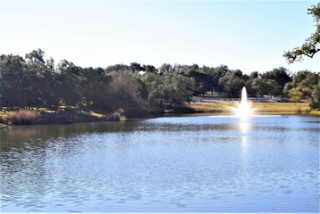 lake in the park