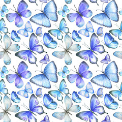  Watercolor seamless pattern with blue butterflies.